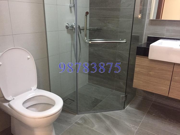 Whitehaven (D5), Apartment #174522892